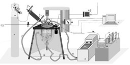 Experimental unit for batch experiments