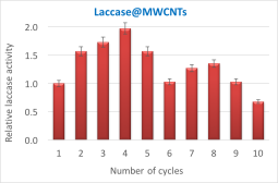 Operational stability of laccase immobilized over MWCNTs