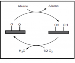 Oxidative dehydrogenation mechanism involving the quinone-hydroquinone redox cycle