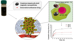 Graphene-based magnetic nanoparticles developed as pH-dependent drug delivery systems for cancer therapy