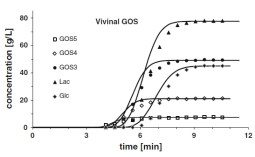 Experimental (points) and simulated (solid lines) breakthrough curves of individual saccharides for the adsorbent H+ form bed fed with the GOS syrup.