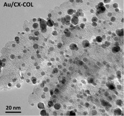 HRTEM image of Au nanoparticles (as dark spots) on carbon xerogels prepared by the colloidal method