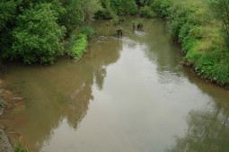 Minho/Miño river basin: Louro River.