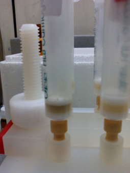 SPE adsorbents after percolation of wastewater samples, before and after ozonation treatment.
