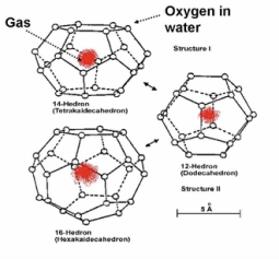 CO2/CH4 hydrates molecular cages