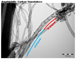 Amphiphilic carbon nanotubes