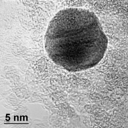 Au nanoparticle supported on nanodiamonds
