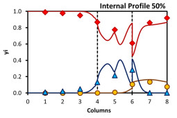 Molar Fraction Internal Profile