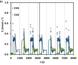 Molar Flowrate History of a PSA Methane Purification Pilot Test