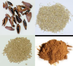 Examples of biobased substrates (Brasilian pine-fruit shell, rice shell, olive stone and lignin)