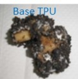 Base TPU sample recovered recovered after 6 months of the biodegradation test in soil at 58ºC