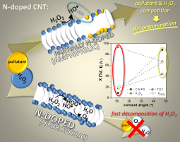 Controllable H2O2 decomposition on amphiphilic carbon nanotubes
