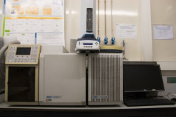 Gas chromatograph coupled to a mass spectrometer