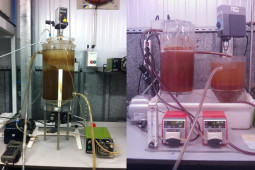 Sequential batch reactor (right) and activated sludge biological reactor (left) at lab-scale