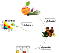 Development of processes for terpenes and terpenoids purification