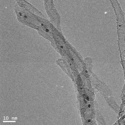 TEM image of Pd-Cu supported on carbon nanotubes