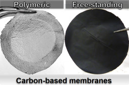 Carbon-based membranes with flat-sheet geometry.