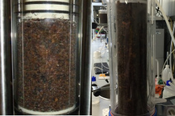 Adsorption column filled with cork granules (right) and  brown macroalgae (left)