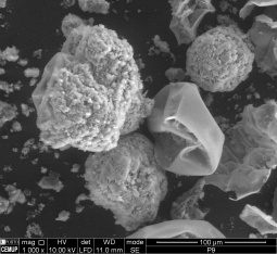 SEM analysis of the products resulting from the encapsulation of n-octadecane in RAFT synthetized crosslinked poly(methyl methacrylate) particles