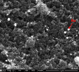 SEM image of gold supported on carbon xerogel