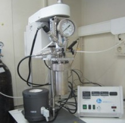 Experimental setup used for the oxypropylation studies