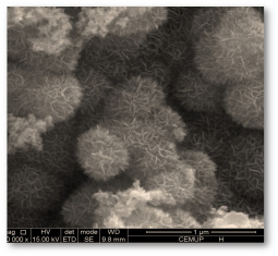 SEM micrograph of a cryptomelane manganese oxide catalyst