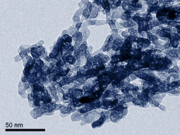 TEM image of HAp nanocristals