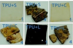 TPU samples modified with starch (TPU+S), cellulose (TPU+C) and lignin (TPU+L), recovered after 1 and 4 months of the biodegradation test in soil at 58ºC