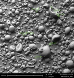 SEM image of maltodextrin microspheres obtained by spray-drying
